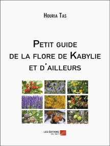 8 plantes aromatiques aux multiples bienfaits - Léro