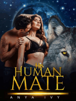 His Human Mate: Werewolf Shifter Human Mate Romance