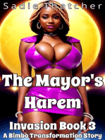 The Mayor's Harem