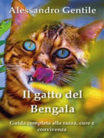Il gatto del Bengala: guida completa alla razza, cure e convivenza