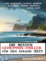Die besten Geheimnis-Thriller für den Strand 2023