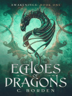 Echoes of Dragons