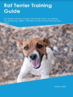 Rat Terrier Training Guide Rat Terrier Training Includes: Rat Terrier Tricks, Socializing, Housetraining, Agility, Obedience, Behavioral Training, and  More