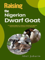 Raising the Nigerian Dwarf Goat