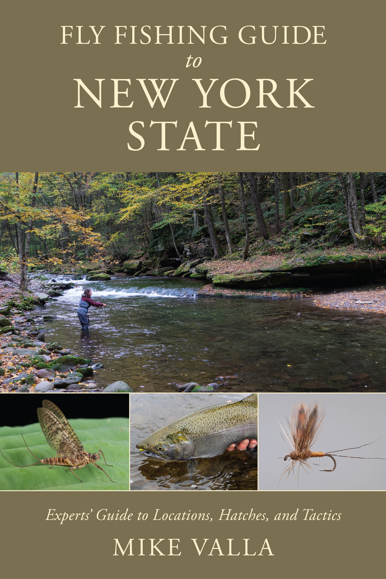 Fly Fishing Guide to New York State by Mike Valla (Ebook) - Read