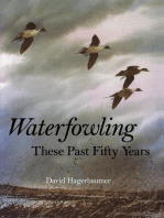 Waterfowling These Past Fifty Years