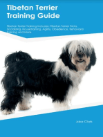 Tibetan Terrier Training Guide Tibetan Terrier Training Includes: Tibetan Terrier Tricks, Socializing, Housetraining, Agility, Obedience, Behavioral  Training, and More