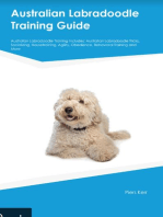 Australian Labradoodle Training Guide Australian Labradoodle Training Includes: Australian Labradoodle Tricks, Socializing, Housetraining, Agility, Obedience, Behavioral Training, and More