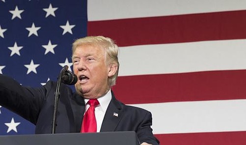 Trump’s Dubious Promise to End Birthright Citizenship - FactCheck.org