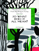 So What Does It All Mean?: The Secrets of Life: From Big Bang to Trump