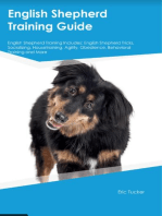 English Shepherd Training Guide English Shepherd Training Includes: English Shepherd Tricks, Socializing, Housetraining, Agility, Obedience, Behavioral  Training, and More