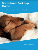 Dachshund Training Guide Dachshund Training Includes: Dachshund Tricks, Socializing, Housetraining, Agility, Obedience, Behavioral Training, and  More