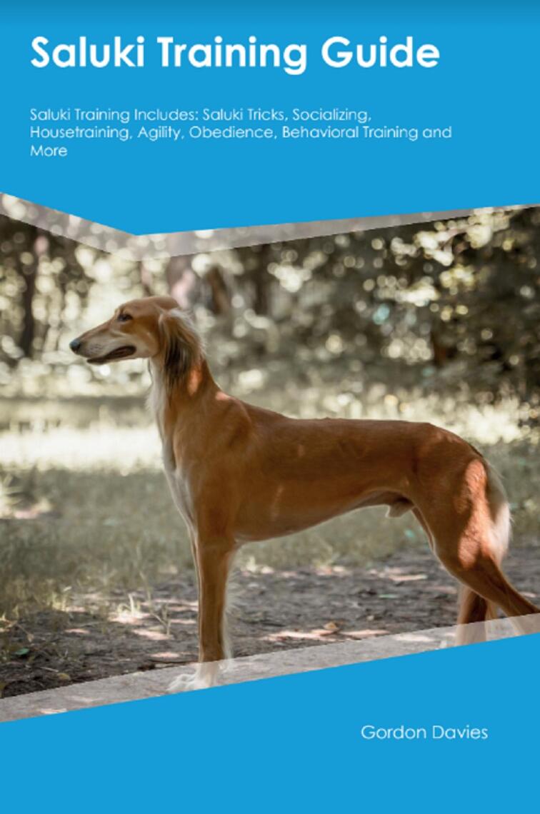 saluki-training-guide-saluki-training-includes-by-gordon-davies-ebook