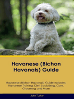Havanese (Bichon Havanais) Guide Havanese Guide Includes: Havanese Training, Diet, Socializing,  Care, Grooming, and More