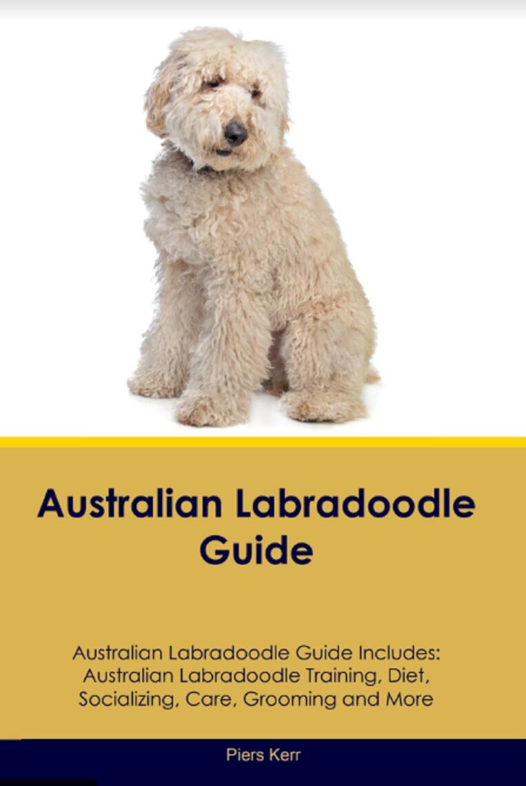 Australian Labradoodle Guide Australian Labradoodle Guide Includes by ...
