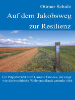 Auf dem Jakobsweg zur Resilienz: Ein Pilgerbericht vom Camino Francés, der zeigt wie die psychische Widerstandkraft gestärkt wird