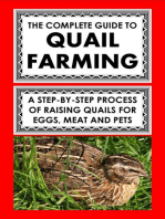 The Complete Guide To Quail Farming: A Step-By-Step Process Of Raising Quails For Eggs, Meat, And Pets