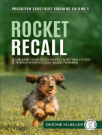 Rocket Recall - Unleash Your Dog's Desire to Return to You through Motivation-Based Training: Predation Substitute Training, #2