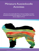 Miniature Aussiedoodle Activities Miniature Aussiedoodle Tricks, Games & Agility Includes