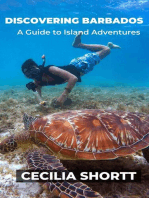 Discovering Barbados: A Guide to Island Adventures