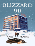 Blizzard 96