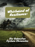 Whirlwind of Resilience