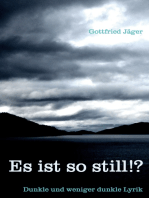 Es ist so still!?: Dunkle und weniger dunkle Lyrik