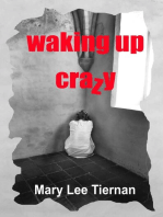 Waking Up Crazy: Dreams Untangled, #2