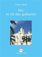 Mir, le roi des goélands