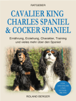 Cavalier King Charles Spaniel & Cocker Spaniel: Ernährung, Erziehung, Charakter, Training und vieles mehr über den Spaniel