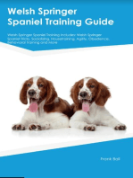 Welsh Springer Spaniel Training Guide Welsh Springer Spaniel Training Includes: Welsh Springer Spaniel Tricks, Socializing, Housetraining, Agility, Obedience,  Behavioral Training, and More