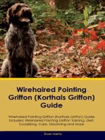 Wirehaired Pointing Griffon (Korthals Griffon) Guide Wirehaired Pointing Griffon Guide Includes: Wirehaired Pointing Griffon Training, Diet, Socializing, Care, Grooming, and  More