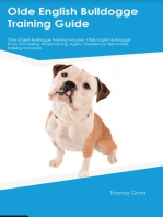 Olde English Bulldogge Training Guide Olde English Bulldogge Training Includes: Olde English Bulldogge Tricks, Socializing, Housetraining, Agility, Obedience,  Behavioral Training, and More