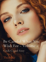 Be Careful What You Wish For - Volume 1: Cock-Caged Sissy