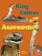 King Cobras Are Awesome!