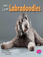 You'll Love Labradoodles