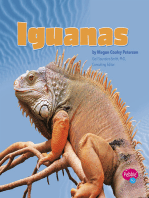 Iguanas