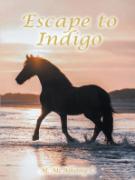 Escape to Indigo