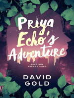 Priya Echo's Adventure