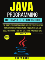 Java Programming 