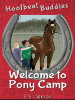 Welcome to Pony Camp: Hoofbeat Buddies, #2