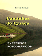 Caminhos Do Iguaçu