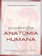 Atlas Básico Da Anatomia Humana