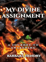 My Divine Assignment