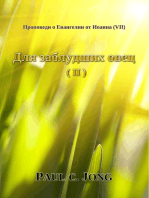 Проповеди о Евангелии от Иоанна (VII) - Для заблудших овец (II)