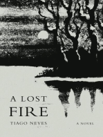 A Lost Fire