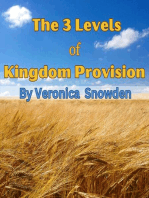 The 3 Levels of Kingdom Provision: Discover How God Provides For His Children Regardless of Income, Education or Background