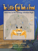The Little Crab Finds A Friend