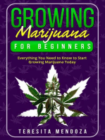 Growing Marijuana for Beginners: Everything You Need to Know to Start  Growing Marijuana Today