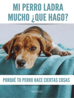 Mi Perro Ladra Mucho ¿Qué Hago?